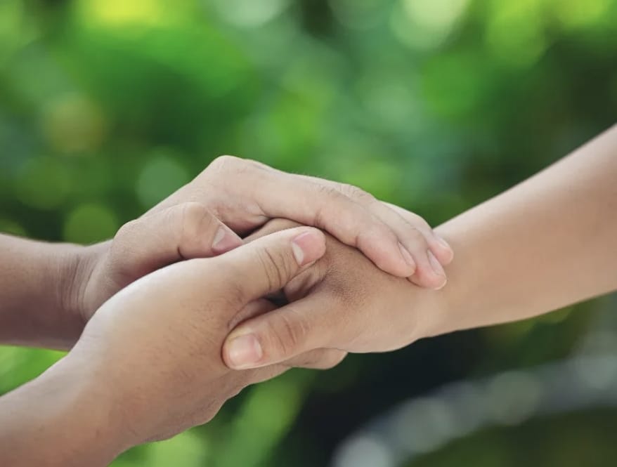 Valores y trabajo colaborativo en el campo