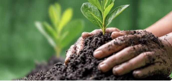 Proyección del gremio agropecuario